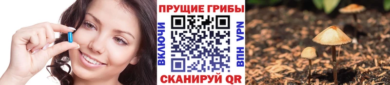 купить закладку Фролово Галлюциногенные грибы мухоморы